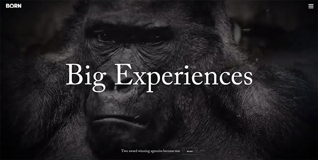 寬屏網(wǎng)頁(yè)設(shè)計(jì)